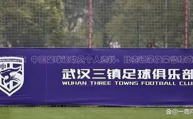 BETVLCTOR伟德在线雷柏科技张仁国：中国足球运动员个人资料、比赛记录及荣誉综述