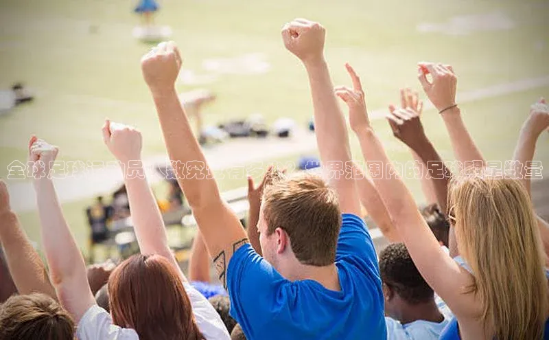 伟德betvlctor1946体育百度百聘全球足球运动员人数究竟有多少？世界范围内的足球明星数量