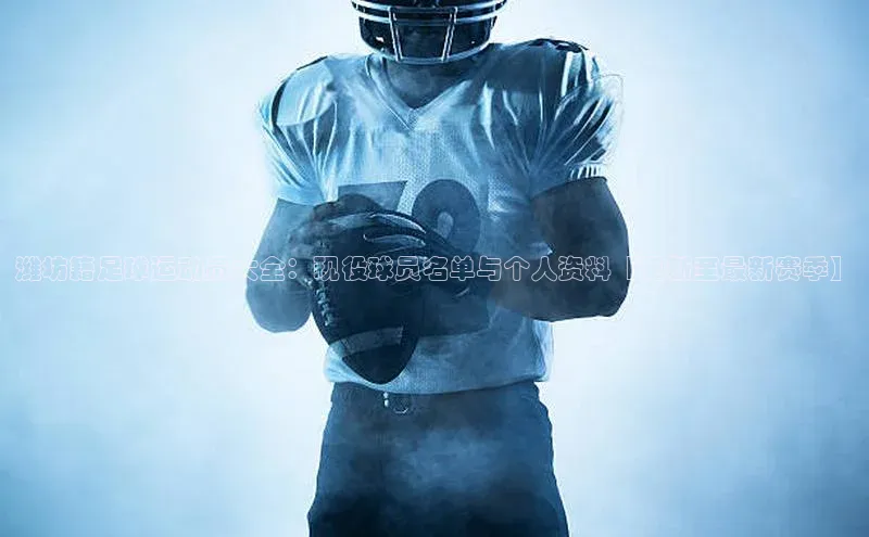 伟德betvlctor体育官网度小满支付潍坊籍足球运动员大全：现役球员名单与个人资料【更新至最新赛季】