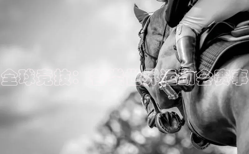 betvlctor网页版登录百度 H5全球竞技：各类世界运动会赛事