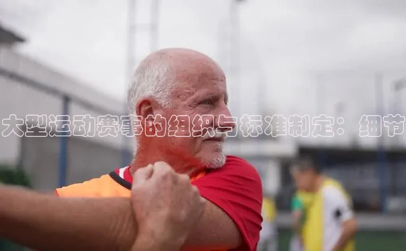 伟德BETVLCTOR1946官网百度集团大型运动赛事的组织与标准制定：细节