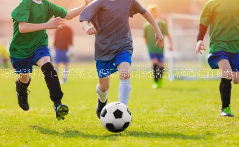 骑行盛世：自行车运动赛事的风险评估与应对策略探讨