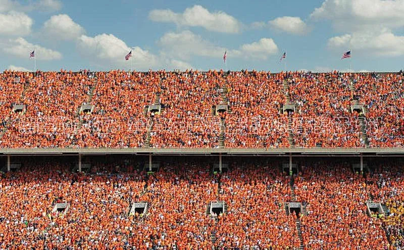 荣耀的象征：2023年度最佳运动赛事奖杯设计