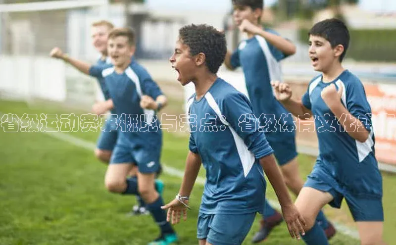 省级运动赛事概览与亮点：省级体育文化盛事