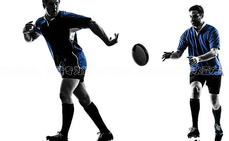 竞技动力：打造专为运动爱好者设计的定制运动水壶方案