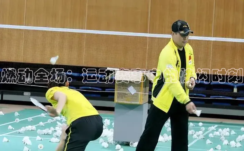 燃动全场：运动赛事中的快闪时刻