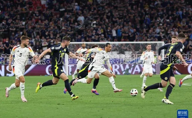 童趣盎然：儿童运动会精彩回顾与展望