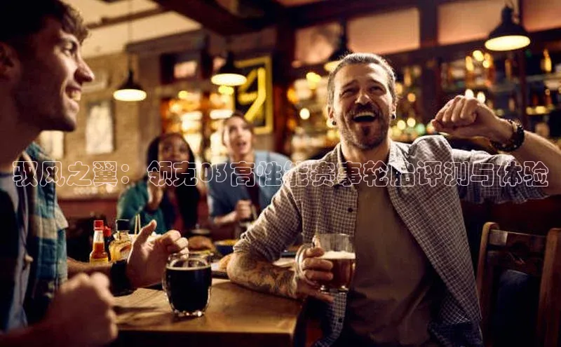 驭风之翼：领克03高性能赛事轮胎评测与体验