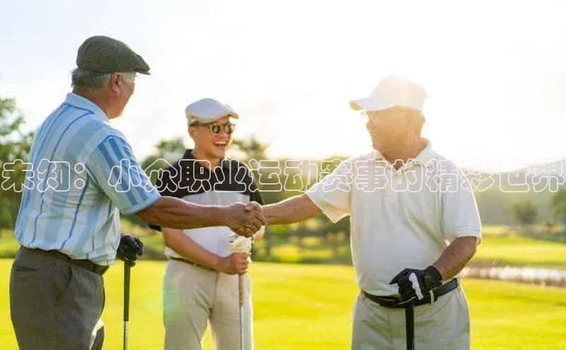 未知：小众职业运动赛事的精彩世界