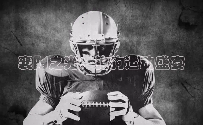 襄阳之光：狗狗运动盛宴