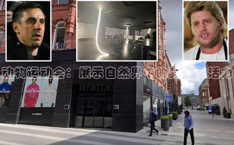 动物运动会：展示自然界中的竞技与活力