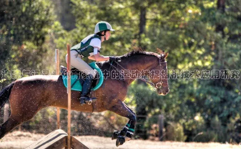 伟德BETVLCTOR客户端