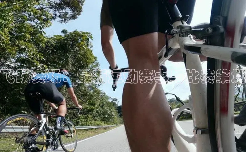 飞跃赛场：最新运动赛事与比赛策划