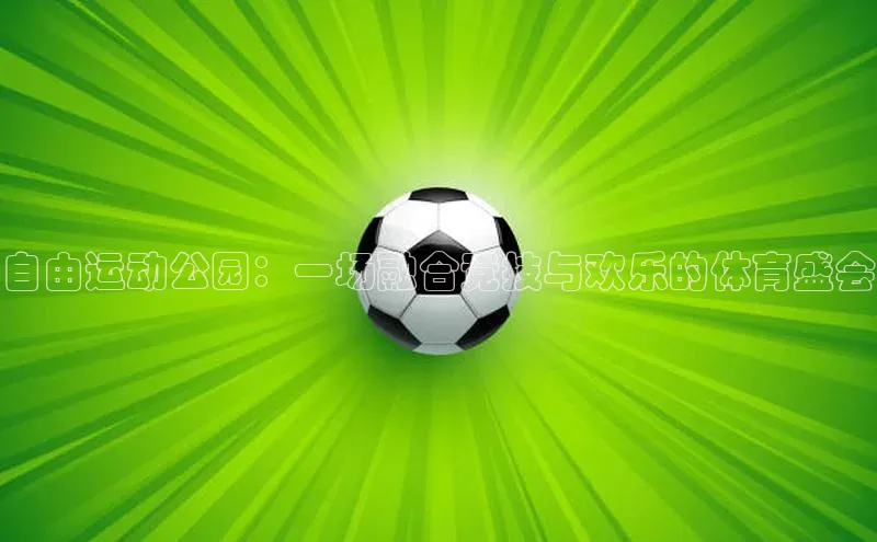 自由运动公园：一场融合竞技与欢乐的体育盛会